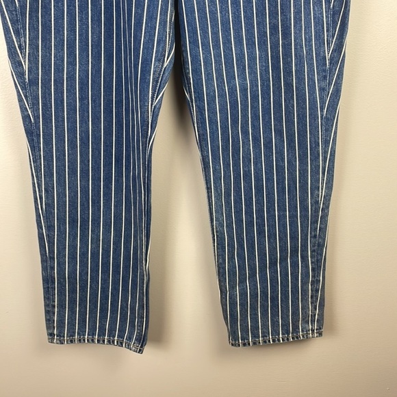 American Eagle Mom Jean Stripe SZ 14 Regular Unique Plus Size - Picture 3 of 14